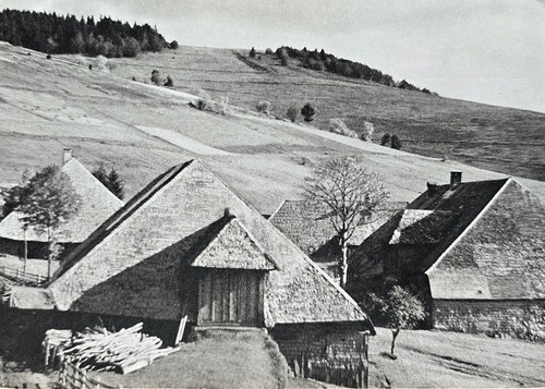 Bernau schwarzwald 1963 - ak,