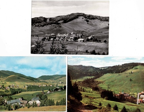 7821 bernau schwarzwald - 3,